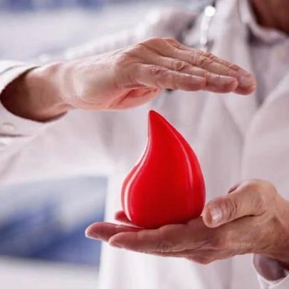 Hemofilia: 6 mitos e verdades sobre a doença
