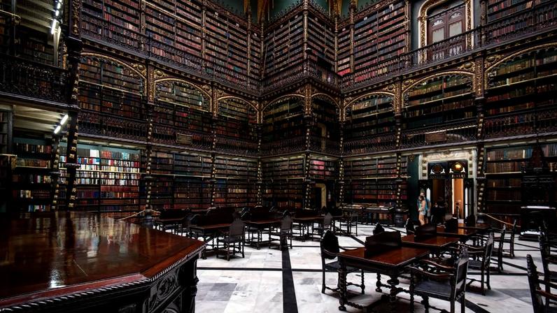 Estantes imponentes de madeira esculpida e milhares de livros raros na biblioteca histórica – Créditos: depositphotos.com / dabldy