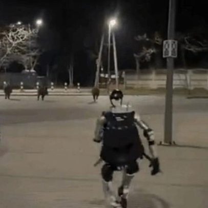 Robô humanoide persegue javalis em rua de Varsóvia
