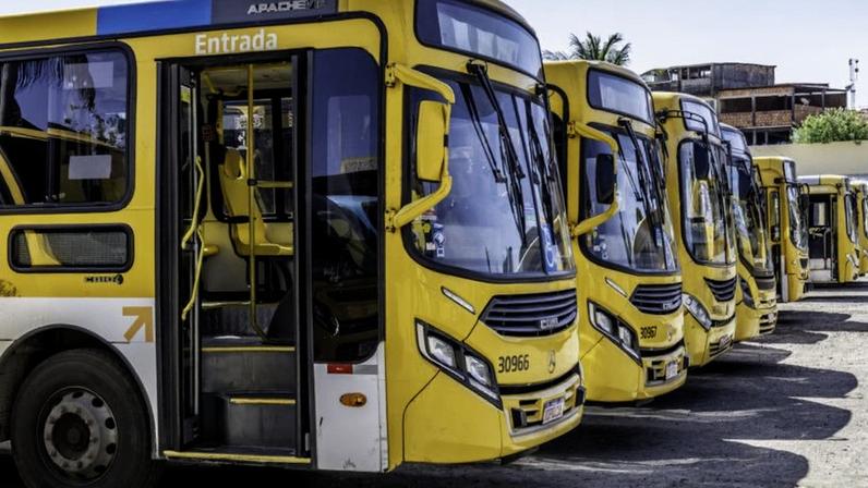 Na imagem, veículos de transporte coletivo