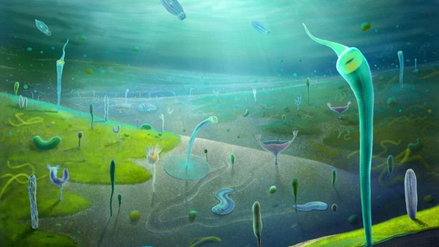 Fósseis revelam que vida complexa surgiu antes da explosão cambriana (Imagem: Xiaodong Wang)
