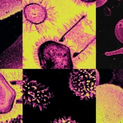 Vírus gigantes: o que são e por que intrigam cientistas