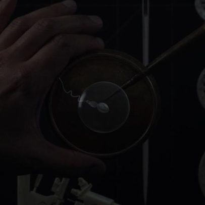Startup diz ter cultivado espermatozoides humanos e gerado embriões
