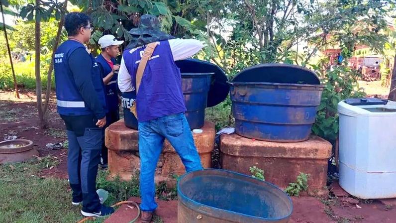 Dourados declara emergência por avanço da chikungunya