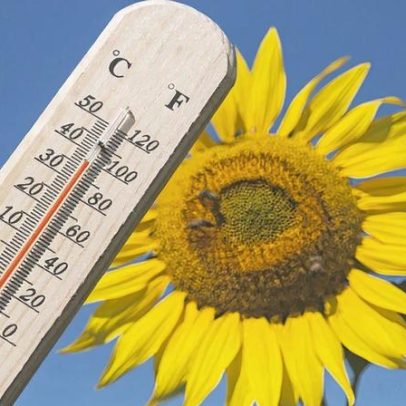 Calor persiste no Brasil neste fim de semana