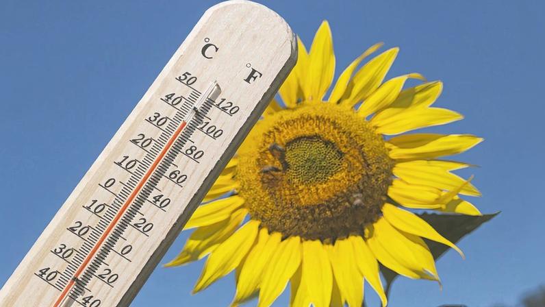Calor continua acima do normal no fim de semana da Páscoa, em áreas do Sul, de SP, MS e MT (Foto: Getty Images)
