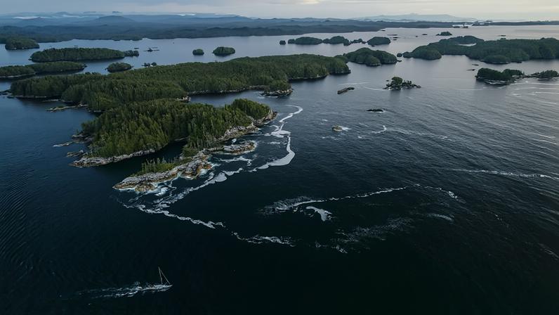 Reciprocidade, não extração: visão indígena de manejo florestal