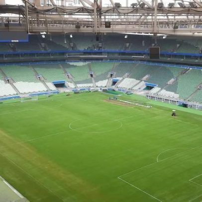 Nubank assume naming rights do estádio do Palmeiras e amplia atuação esportiva