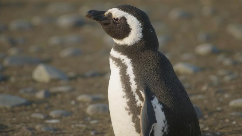 Pinguins revelam presença de químicos perigosos até em regiões remotas (Imagem: DreamArtist via Canva)