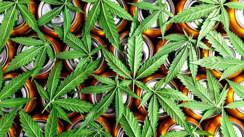 Bebidas com THC ajudam a dormir? O que dizem os especialistas