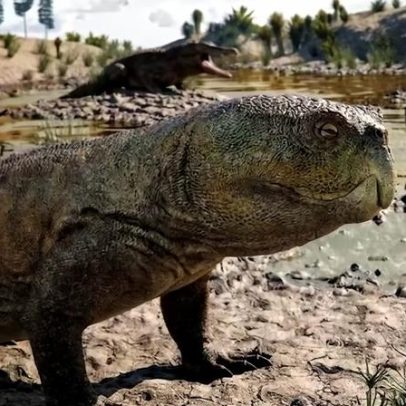 Répteis de 230 milhões de anos com bico de papagaio encontrados no RS