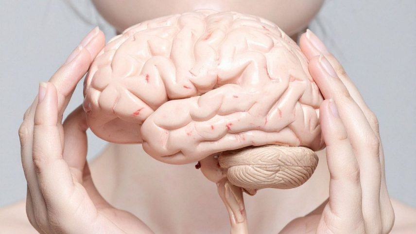 Como alecrim, manjericão e ginkgo afetam o cérebro