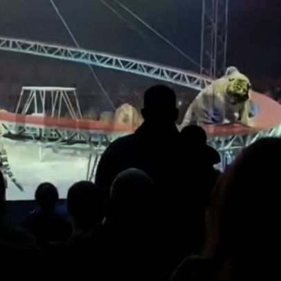 Tigre salta em direção ao público após falha na grade de circo na Rússia