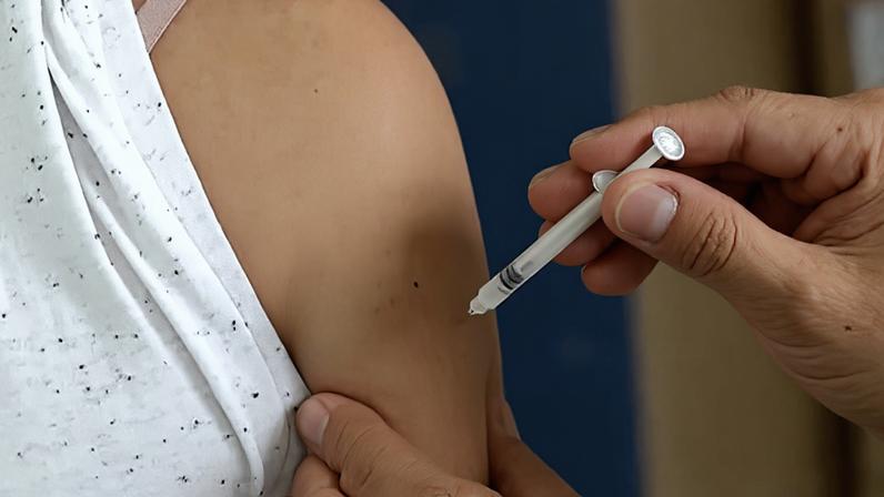 Três casos de febre amarela foram identificados no estado de São Paulo