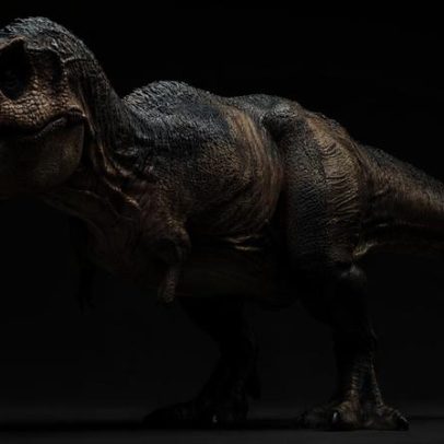 Bolsa de T. rex levanta questionamentos sobre inovação