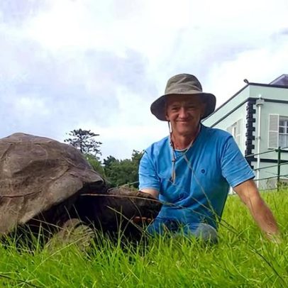 Pegadinha sobre morte da tartaruga mais velha é desmentida após viralizar