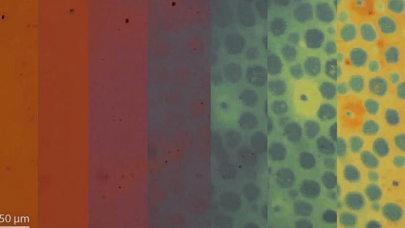 Material inspirado em polvos muda forma e cor em segundos