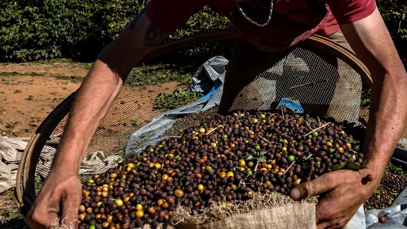 Óleo de soja liderou ganhos no 1º trimestre com alta do petróleo e demanda por biocombustíveis