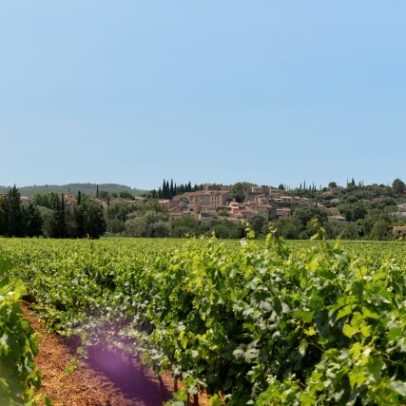 Provence: a região líder na produção de rosé