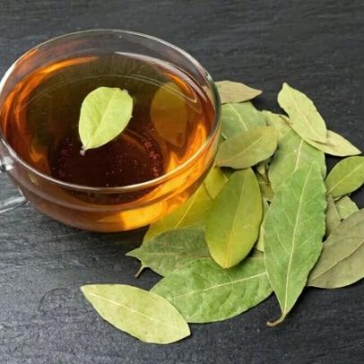 Chá de louro: 7 receitas e benefícios para a saúde