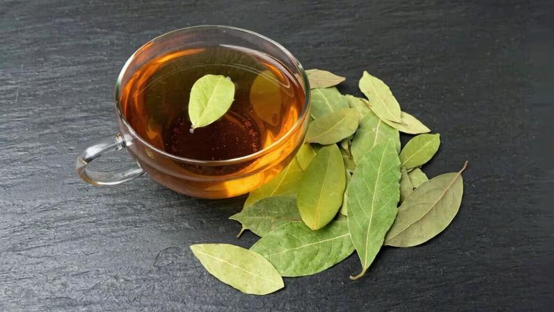 Chá de louro: 7 receitas e benefícios para a saúde