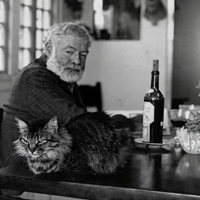 Escritores e seus gatos: 7 histórias de afeto e inspiração