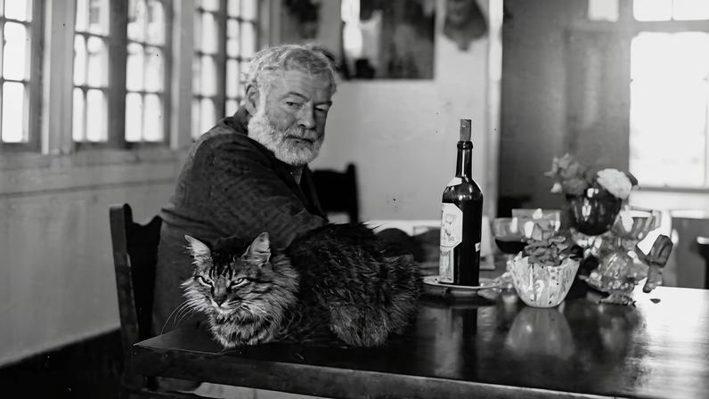 Escritores e seus gatos: 7 histórias de afeto e inspiração