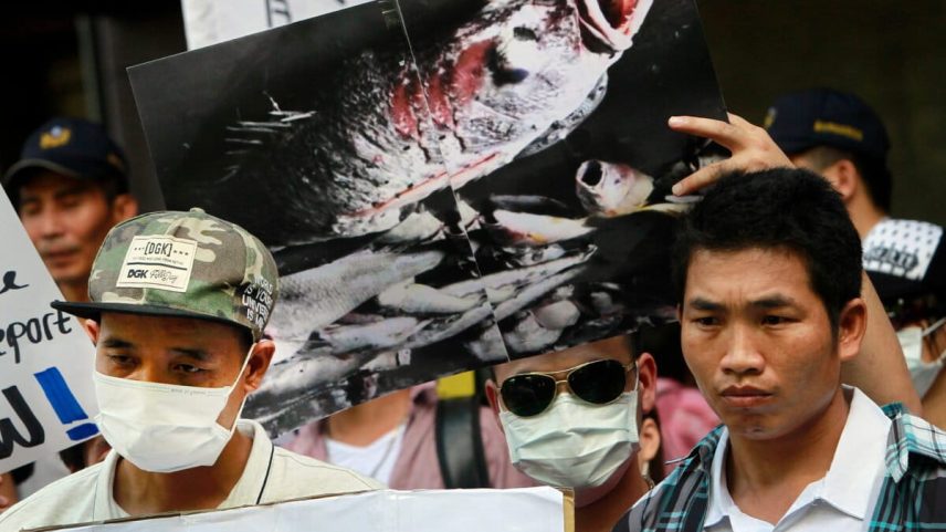 Vietnamese activists hold a photo of dead fish, allegedly killed with toxic chemicals, during a protest to urge Formosa Plastics Group to take responsibilities for the cleanup in Vietnam, August 2016, in Taipei, Taiwan.