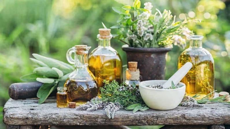 Menopausa: 6 plantas que contribuem para o bem-estar feminino