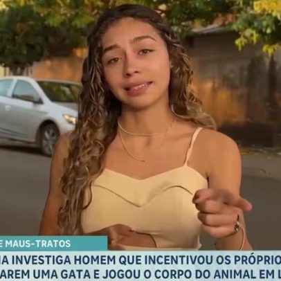 Gata morre após ataque de cães e caso é investigado em São Joaquim da Barra