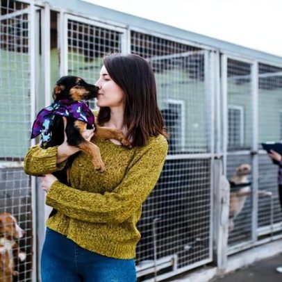 Oito em cada dez pets adotados no Brasil vêm de resgates de rua