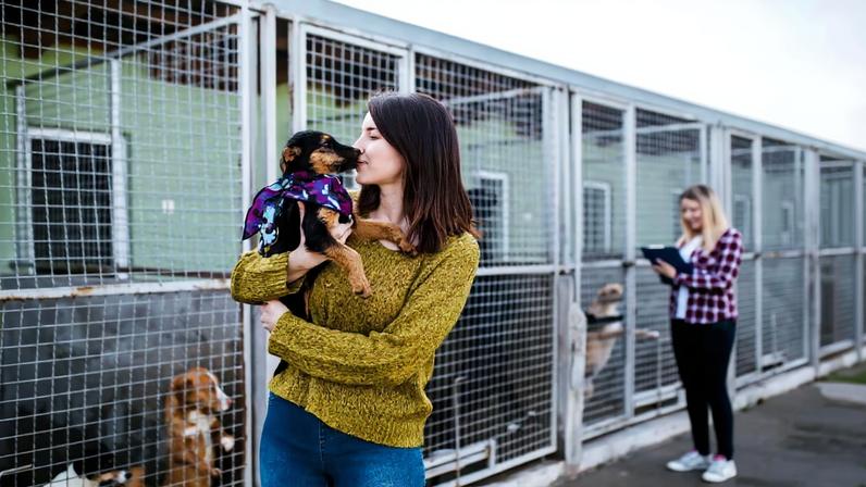 Oito em cada dez pets adotados no Brasil vêm de resgates de rua