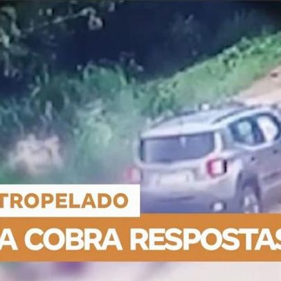 Casal atropelado: família cobra respostas sobre o caso