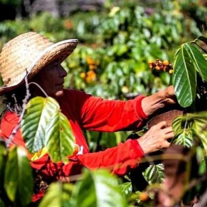 Brasil pode economizar 200 bilhões ao transformar sistema alimentar, aponta estudo