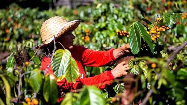 Agricultura brasileira enfrenta o desafio de conciliar produtividade, sustentabilidade e viabilidade econômica (Camila Batista/Divulgação)