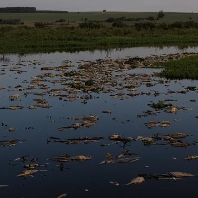 Antibióticos no Rio Piracicaba expõem lacuna regulatória