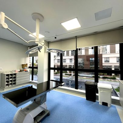 Pet une plano de saúde e hospital após fusão e mira R$ 155 milhões