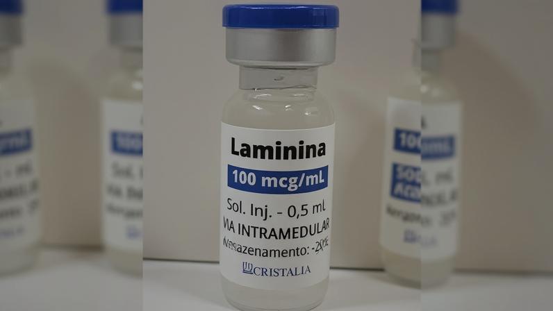 Anvisa libera estudo clínico e autoriza aplicação de polilaminina em pacientes com lesão na medula