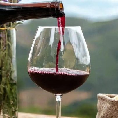 Importações brasileiras de vinhos chegam a US$ 558 milhões em 2025
