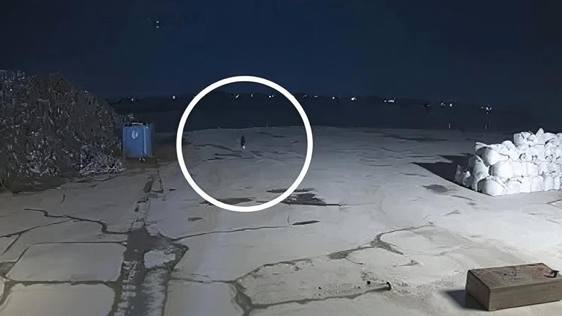 Com base nas imagens, a polícia informou que o último registro confirmado de Vitória passou a ser às 0h22 do dia 4 de março, e não mais às 0h16, como divulgado anteriormente