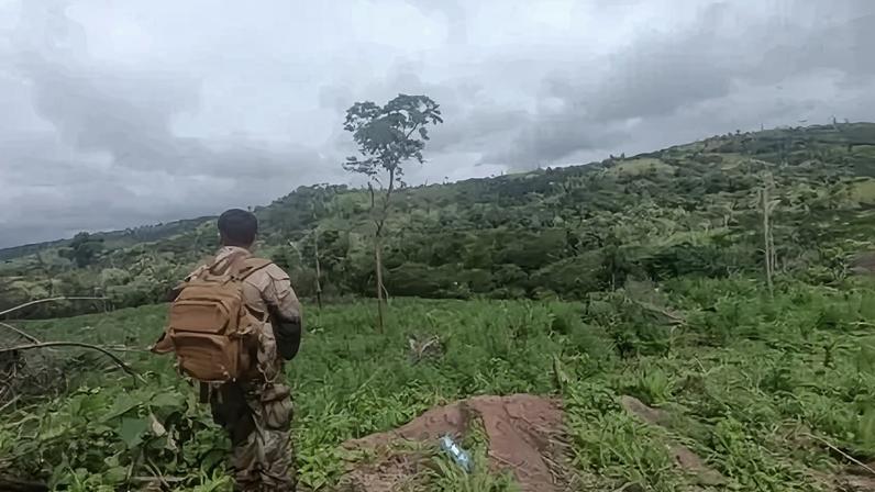 Em 2025, a operação registrou um recorde histórico com a erradicação de 5.464 toneladas de maconha