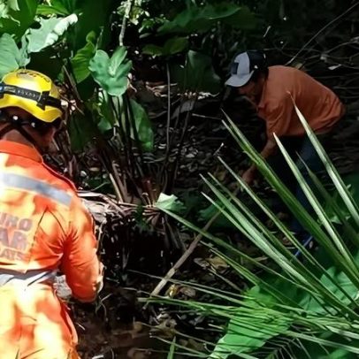 Bombeiros capturam sucuri em quintal de MG