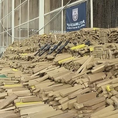 Polícia Militar do Rio apreende 48 t de maconha, maior apreensão brasileira