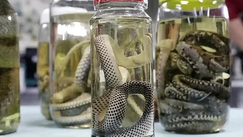 De acordo com informações das secretarias municipais de saúde, consolidados pela Gerência de Zoonoses da Diretoria de Vigilância Ambiental, foram registrados 999 acidentes no primeiro trimestre de 2025. Já em 2026, o número subiu para 1.042 ocorrências