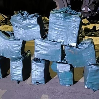 PF intercepta caminhão com drogas escondidas entre abacaxis no Tocantins