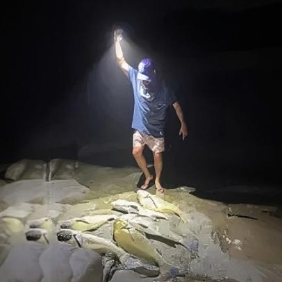 Ibama aplica multa a influenciador catarinense por pesca de peixe em extinção