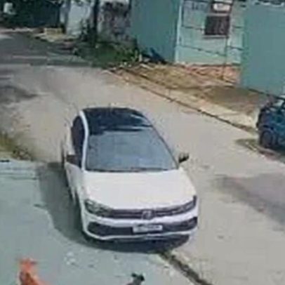 Motorista é preso em aeroporto após atropelar cães em Manaus