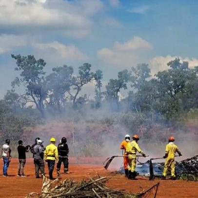 São Paulo inicia operação de prevenção contra incêndios florestais