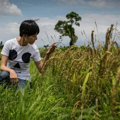 Nada se desperdiça: a revolução do vinho circular em Taiwan
