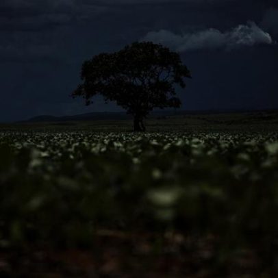 Tecnologia, mobilidade e eficiência redefinem o agronegócio